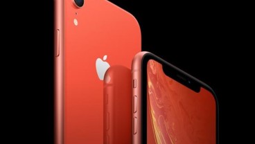 iPhone SE 4 Bakal 'Ganas' karena Gunakan A16 Bionic, Berapa Harganya?