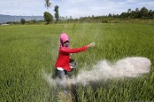 Pupuk Indonesia Siap Penuhi Kebutuhan Pupuk Domestik 2023