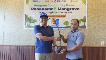 Perluas Program Community Forest, Pupuk Kaltim Tanam Ribuan Bibit Mangrove dan Media Transplantasi Terumbu di Maratua