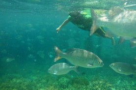 10 Destinasi Wisata Terbaik di Indonesia