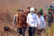 DPR RI dan Pemerintah Mulai Bahas Revisi RUU KSDAHE