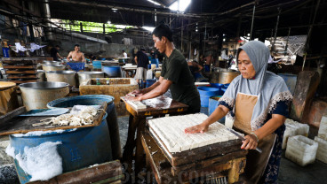 Stok Kedelai Nasional Surplus 250.000 Ton Hingga Akhir Tahun