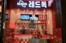 Syarat dan Estimasi Biaya Franchise Reddog, Startup Jajanan Ala Korea