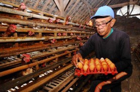 Meroket! Harga Telur Ayam di Jakarta Tembus Rp30.149…