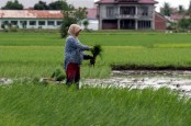 Peluang Wirausaha yang Ramah Lingkungan
