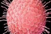 Ilmuwan Hidupkan Kembali Virus 'Zombie' yang Punah Puluhan Ribu Tahun, Mengapa?