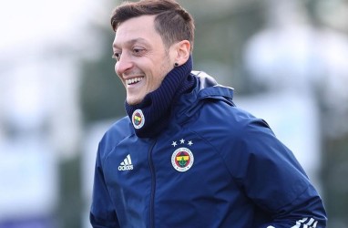 Kala Pendukung Jerman Ngamuk saat Kekalahan Der Panzer Dikaitkan dengan Ozil