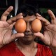 Harga Telur Meroket! Bapanas: Ada Oknum Pengusaha yang Main-Main