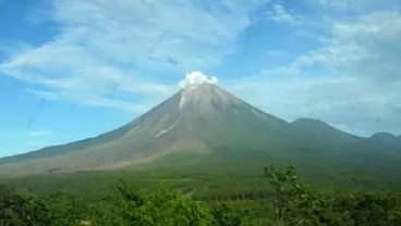 Gunung Semeru Erupsi, Terekam 8 Kali Gempa Letusan