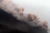 Gunung Semeru Erupsi, Begini Status Terkini Gunung Berapi Indonesia