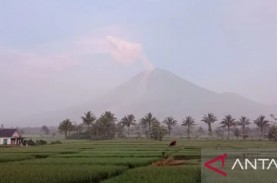 Gunung Semeru Masih Meluncurkan Awas Panas pada Senin…
