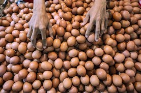 Jelang Nataru, Harga Telur Ayam di Jakarta Tembus…