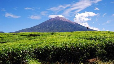 Gunung Api Kerinci Erupsi, Masyarakat Solok Selatan Khawatir akan Seperti di Semeru 