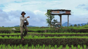 Sumbar Genjot Produksi Pangan, Begini Strateginya