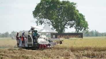 BUMN Sang Hyang Seri Catatkan Pencapaian Positif Usai Setahun Merger