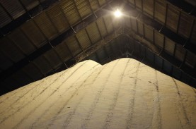 Kuota Impor Gula Mentah Bertambah di Tengah Ketatnya…