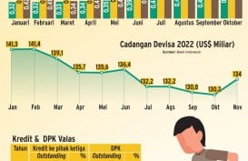 BUNGA PENJAMINAN LPS : Memupuk Likuiditas Valas