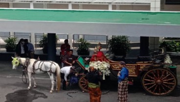 Jelang Akad Nikah Kaesang-Erina, Ini Penampakan Kereta Kuda di Royal Ambarrukmo