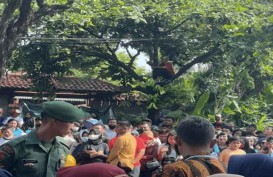 Aksi Kocak Warga Solo di Kirab Ngunduh Mantu Jokowi, Demi Kamu Mas Kaesang!