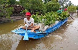 Jaga Lingkungan, PTBA Rehabilitasi Daerah Aliran Sungai 5.197 Hektare