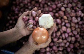 Harga Telur dan Cabai Naik di Sumut, Pemprov Lakukan Sidak