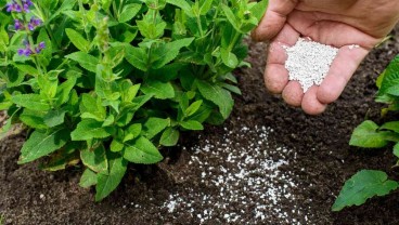 Pemerintah Alokasikan 9 Juta Ton Pupuk Subsidi, Ini Harga Ecerannya