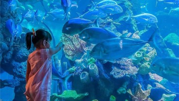 Ini 5 Rekomendasi Wisata di Jakarta Utara, Wajib Kesini!