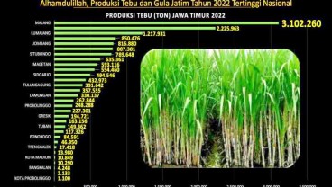 Tren Produksi Tanaman Tebu Jatim Meningkat, Ini Harapan Gubernur Khofifah