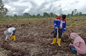 Kilang Pertamina Dumai Gandeng BPTP Riau Dorong Budi…