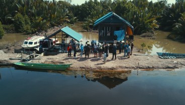 Hutan Bakau: Rumah, Mata Pencaharian, dan Masa Depan Berau