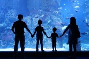 Akuarium Terbesar di Dunia Meledak, 1.500 Ikan Kocar-kacir