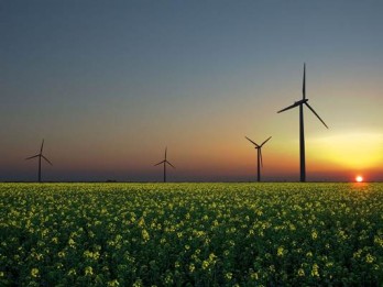 Sri Mulyani Dapat Pinjaman Rp4,96 Triliun untuk Transisi Energi