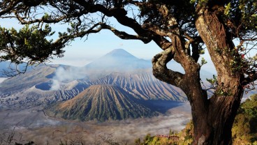 Simak 10 Tempat Wisata Bromo yang Terkenal dan Instagramable