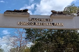 Tiket Pulau Komodo Batal Naik, WNI Bisa Masuk Cukup…