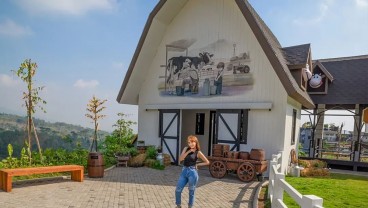 Daftar 5 Destinasi Wisata Pasuruan yang Pemandangannya Indah
