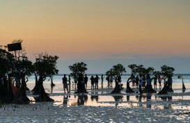 Simak 7 Rekomendasi Wisata Sumba, Surganya Nusa Tenggara Timur