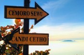 Jalur Pendakian Gunung Lawu untuk Pemula via Cemoro Sewu, 7 Km dari Basecamp