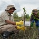 PTBA Dukung Pelestarian Habitat Burung dan Mangrove di Pulau Alanggantang