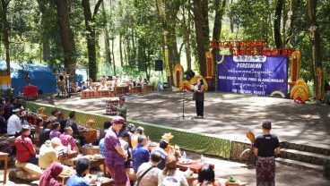 Hutan Pinus Glagalinggah Kintamani, Destinasi Wisata Baru Saat Nataru