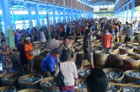 Stok Ikan Jelang Nataru Aman, Tapi Harga Naik 10 Persen