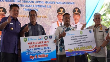 OKI Jadi Kawasan Pengembangan Jagung Berbasis Korporasi Petani