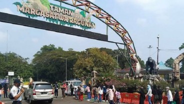 Spesial Natal, Ada Atraksi Gorila di Taman Margasatwa Ragunan Jakarta