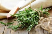 Dua Herbal Ini Diklaim Bisa Memperkecil Ukuran Tumor