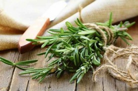 Dua Herbal Ini Diklaim Bisa Memperkecil Ukuran Tumor