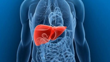 Pasien Sakit Liver Berisiko Alami Disfungsi Otak