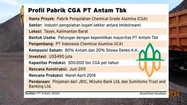 Jokowi Setop Ekspor Bauksit, ANTM Fokus Pasar Domestik