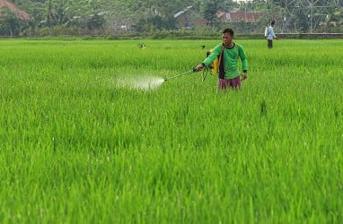 Produksi Padi 2022 di Sumbar Capai 1,42 Juta Ton