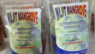 Warga Pesisir Subang Olah Buah Mangrove Jadi Makanan yang Legit