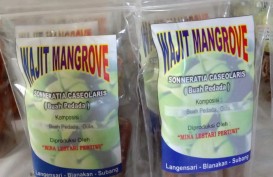 Warga Pesisir Subang Olah Buah Mangrove Jadi Makanan yang Legit