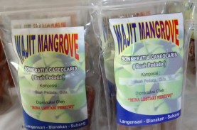 Warga Pesisir Subang Olah Buah Mangrove Jadi Makanan…